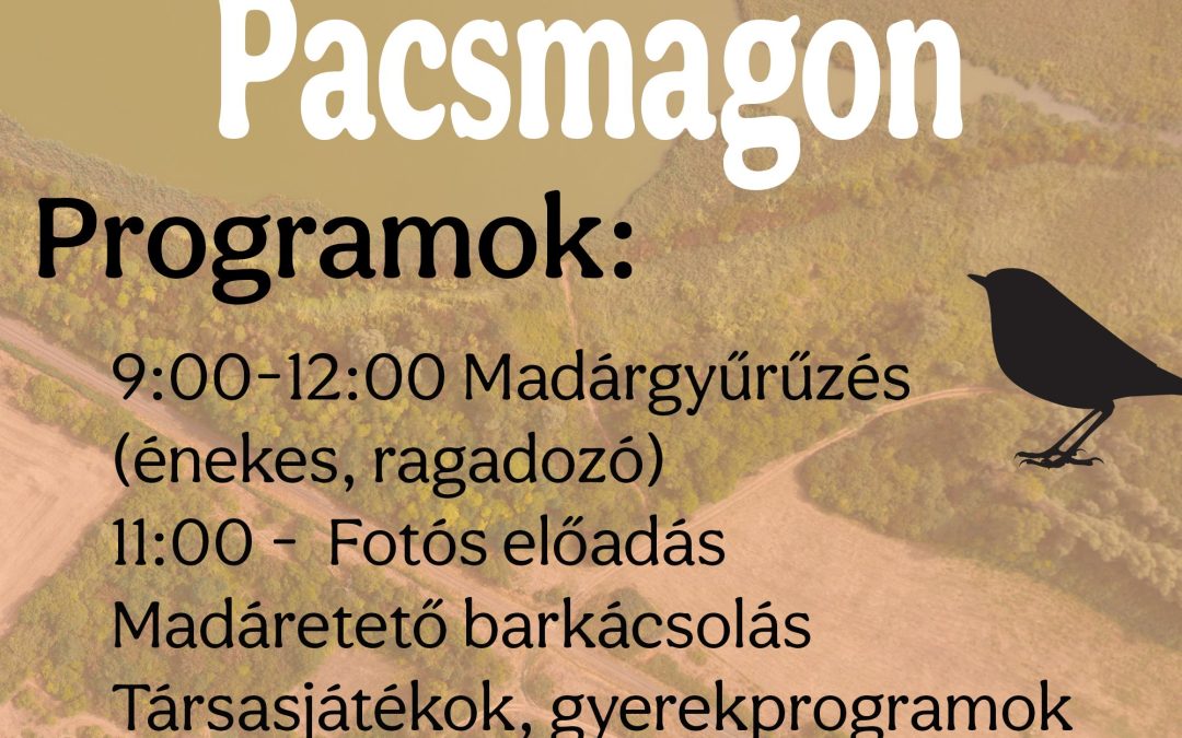 Madárlesen a Pacsmagi-tavakon